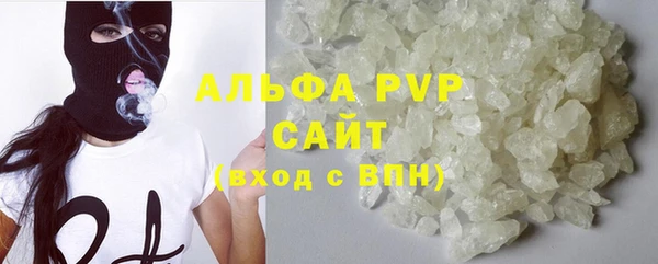 ECSTASY Билибино