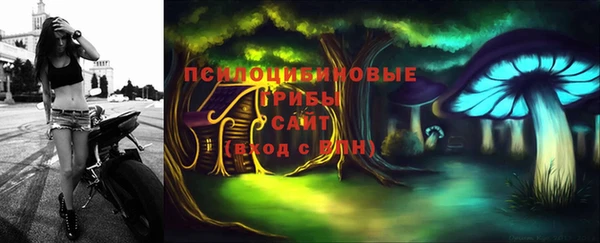 ECSTASY Билибино