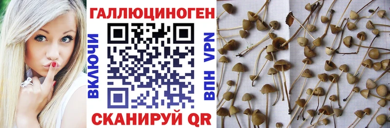 Псилоцибиновые грибы мухоморы kraken как зайти Купино